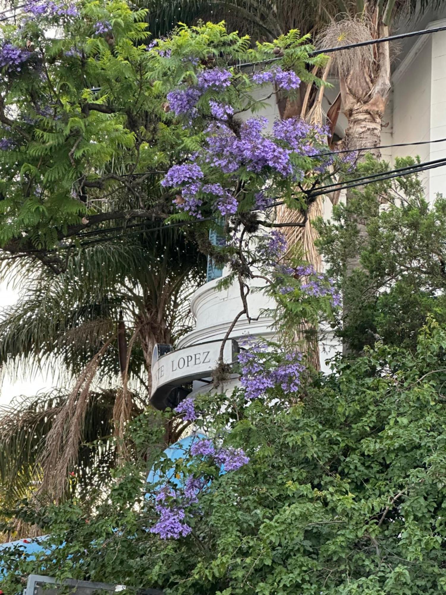 Hotel Vicente López Buitenkant foto